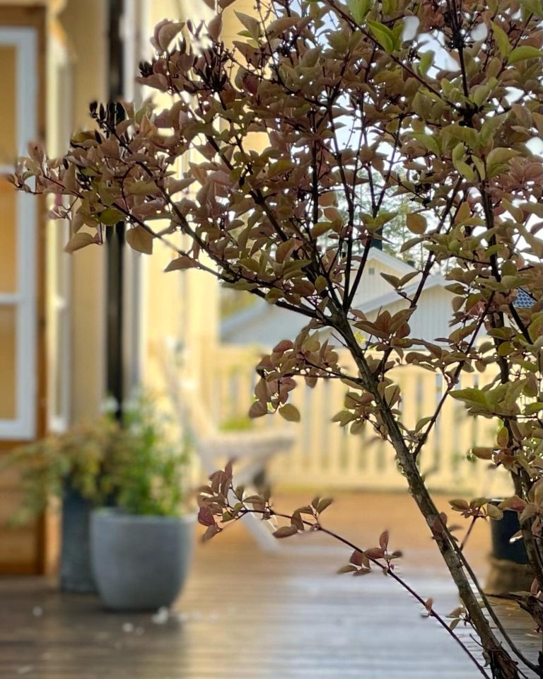 Trädgårdsarkitekt på distans